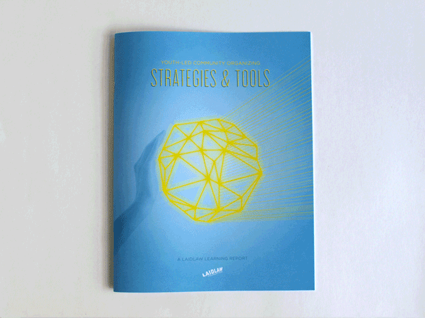Strategies Report Laidlaw Strategies Full